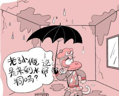 中海建林裝飾公司二手房裝修改造