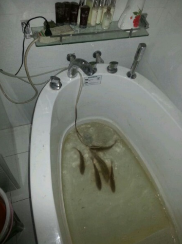 微信圖片_20201007145644.png